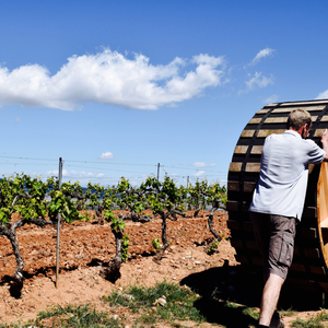 La Rioja, Spain May 2017